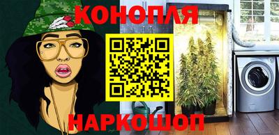 сатива Малгобек