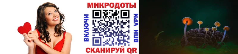 Псилоцибиновые грибы мухоморы  хочу наркоту  блэк спрут ССЫЛКА  Ревда 